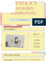 Kelompok 5 - Off GK - Phenolic Compounds