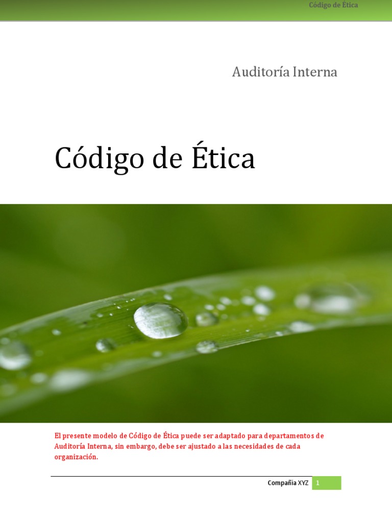 Código de Ética Del Auditor Interno Modelo | PDF | Auditoría | Contralor