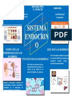 Sistema endocrino: Glandulas y clasificacion de hormonas