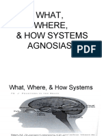 What, Where, & How Systems Agnosias!