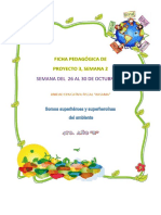 PDF Planificación Proyecto 3, Semana 2 (21) Elemental
