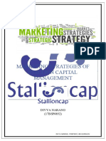 Marketing Strategies of Stallion Capital Management 1