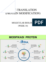 10 Protein Modification