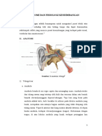 Anatomi Dan Fisiologi Keseimbangan Abrar