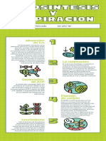 Green Lined Photosynthesis Biology Infographic