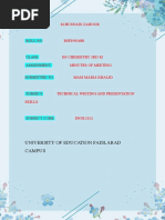 Professional MOM Templates & Examples | PDF