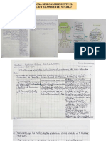 Ejemplo de Formulacion de Conclusiones Descriptivas