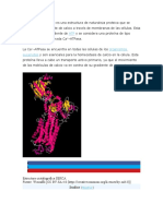 Bomba de Bioquimica