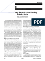 MU Guide: Determining Reproductive Fertility in Herd Bulls
