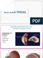 Sistema Visual y Retina