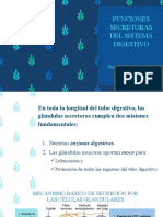 Funciones Secretoras Del Sistema Digestivo