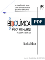 Aula de Nucleotídeos