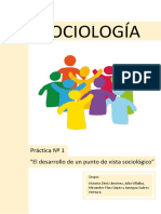 Práctica 1 - Sociologia
