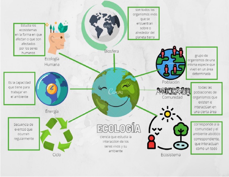 Mapa Mental Ecologia | PDF