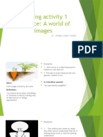 Learning Activity 1 Evidence: A World of Images: By: Johana Chadid Torres