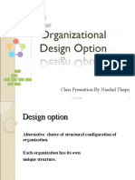 Organizational Design Option