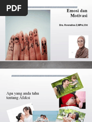 Afeksi Emosi Motivasi Individu Pdf