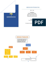 Mapa Conceptual Riesgos Publicos