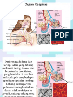 Pertukaran O2 Dan Co2 Dalam Alveolus Dan Jaringan