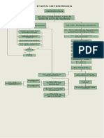 Etapa Procesal Intermedia CPP