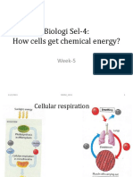 Kuliah Biologi Umum Week-5