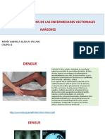 Imagenes Enfermedades Infecciosas Vectoriales