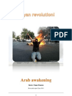 Arab Unrest
