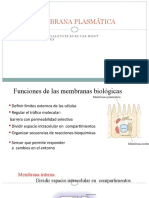 Clase 2. ESTRUCTURA MEMBRANA CELULAR 