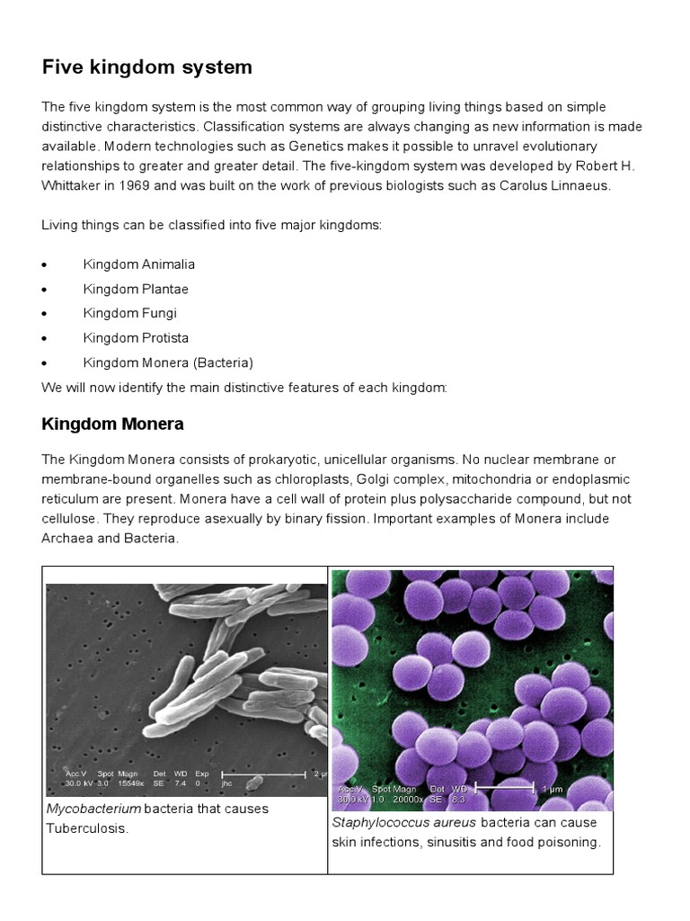 Five Kingdom System | PDF | Cell (Biology) | Plants