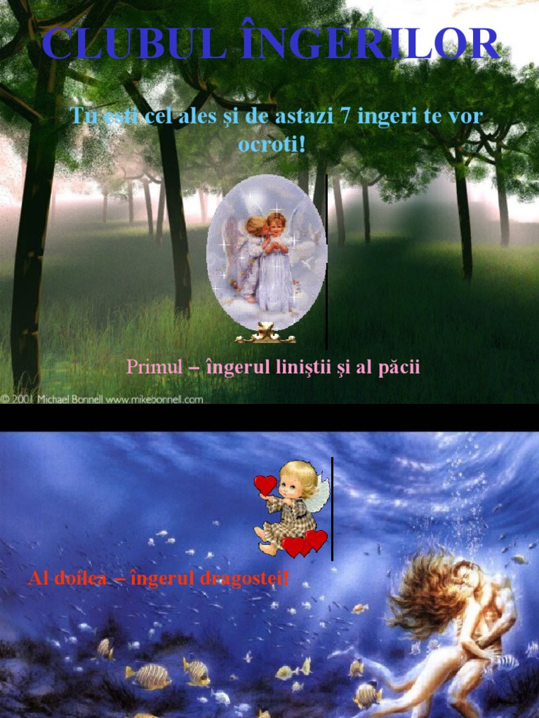 7 Ingeri | PDF