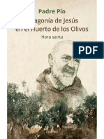 P Pio La agonia de Jesus en el Huerto