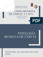 Cáncer cervicouterino: factores de riesgo, fisiopatología y epidemiología