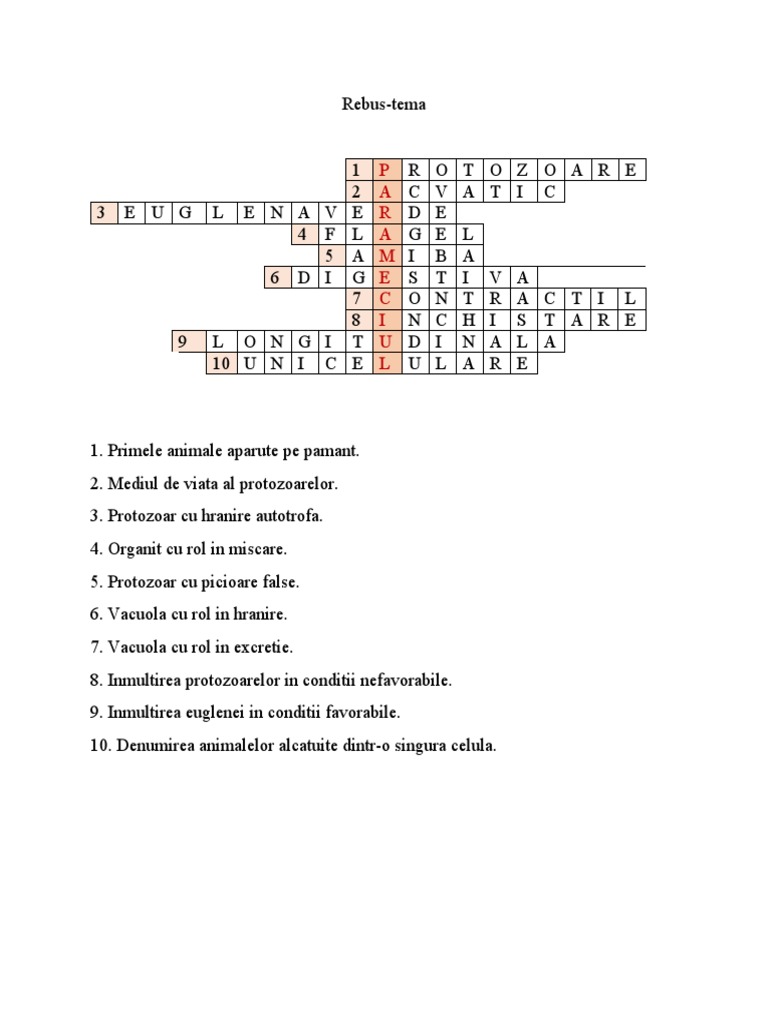 Rebus | PDF