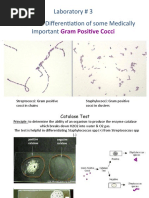 Laboratory # 3 Biochemical Differentiation of Some Medically Important