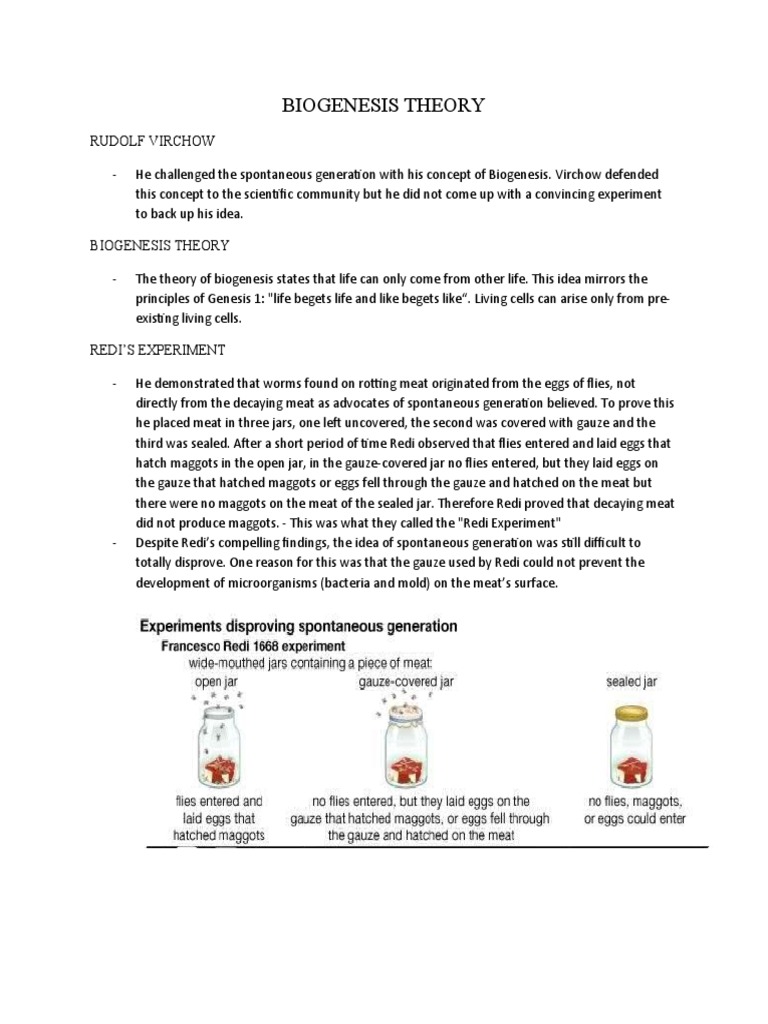 Biogenesis Theory and Key Experiments | PDF | Microbiology | Microorganism