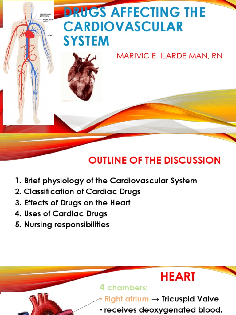 Classification of Cardiovascular Drugs | PDF | Heart | Coagulation