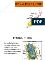 Sel Prokariotik Dan Eukariotik1