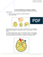 Patología Frontal