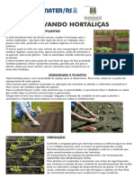 Cultivando Hortalicas WEB