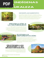 Los indigenas y la naturaleza (1)