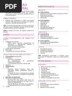 12) Resumo Infecção Puerperal