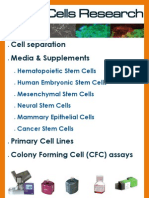 Stem Cells Poster