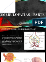 1. Glomerulopatias - I parte