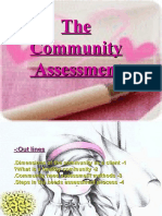 Community Assessment