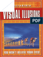 Incredible Visual Illusion