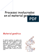 Procesos involucrados en el material genético