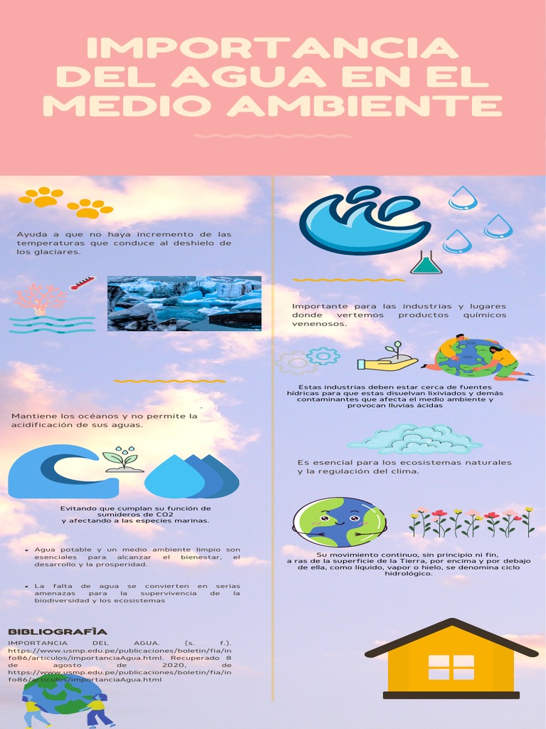 Importancia del Agua en el Medio Ambiente | PDF | Ciencia y matemáticas
