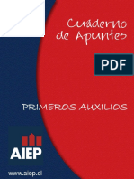 Pau101 - Primeros Auxilios