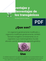 Ventajas y Desventajas de Los Transgénicos