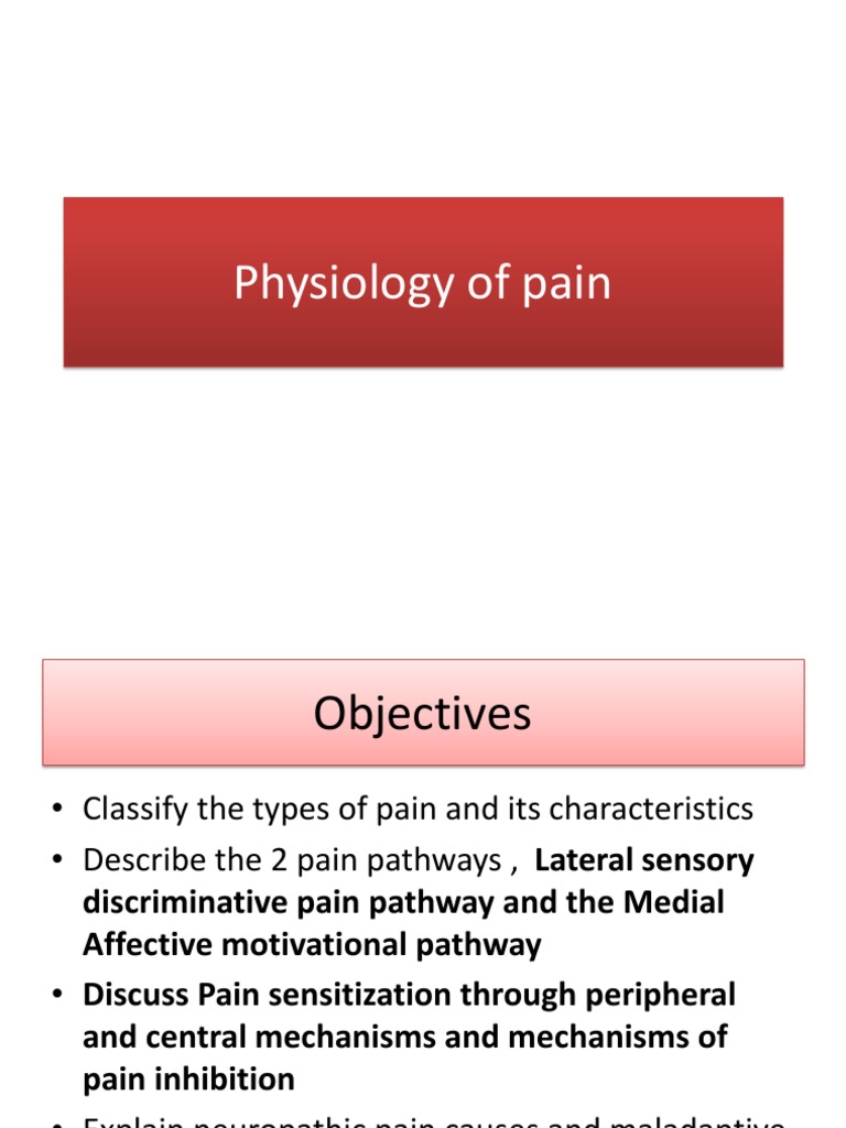 Pain Pathways and Their Physiology | PDF | Stimulus (Physiology) | Pain